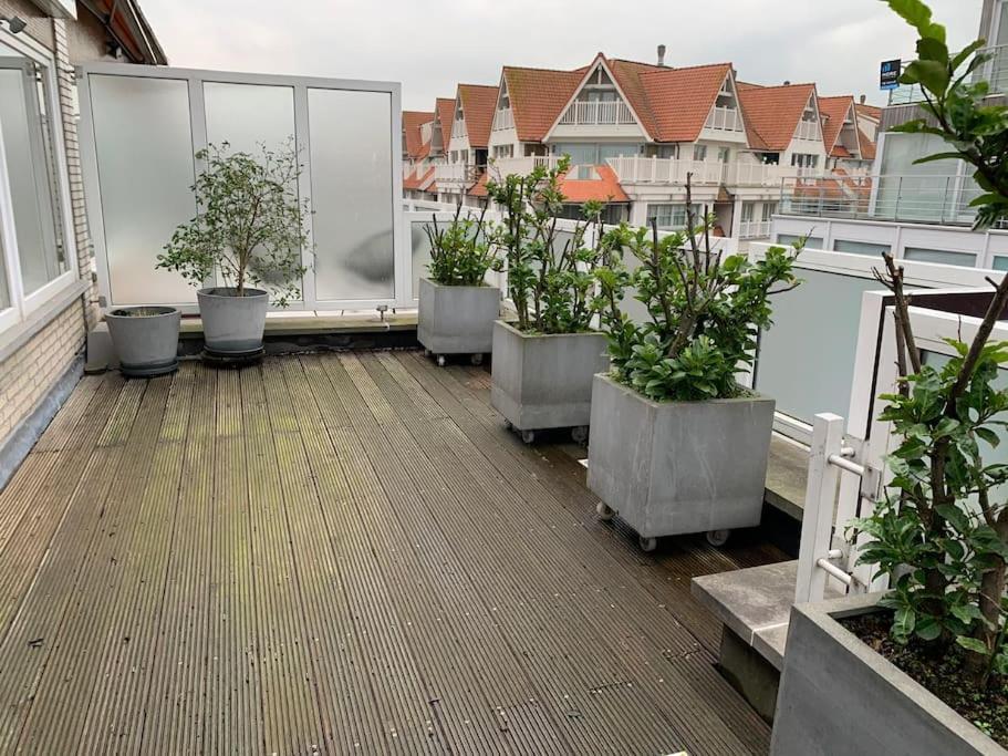 Apartament Zoute Penthouse Knokke-Heist Zewnętrze zdjęcie
